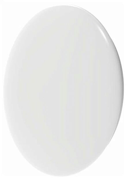 Потолочная лампа Yeelight Ceiling Light (A2001C450) (YLXD032) (White) RU - 3