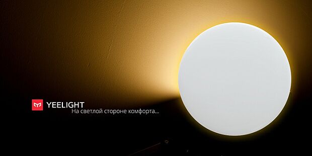 Потолочная лампа Yeelight Ceiling Light (A2001C450) (YLXD032) (White) RU - 2