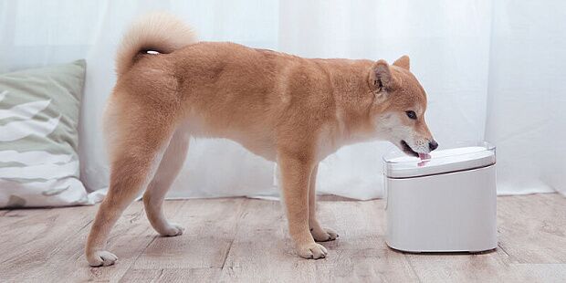 Умная поилка для животных Mijia Smart Pet Water Dispenser XWWF01MG (White) - 6